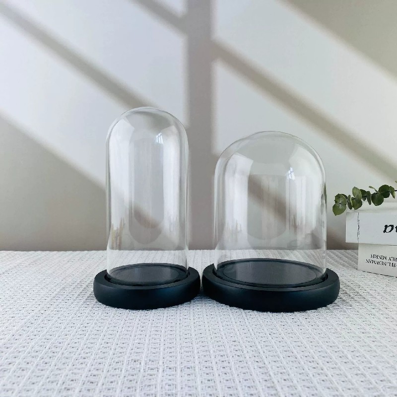 Glass Dome Display With Black Base