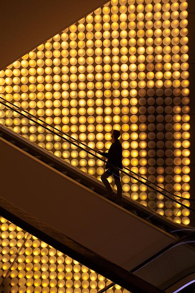 Luxury Retailer, Interior Design Firm, Department Store.