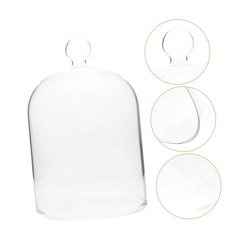 clear glass candle cloche
