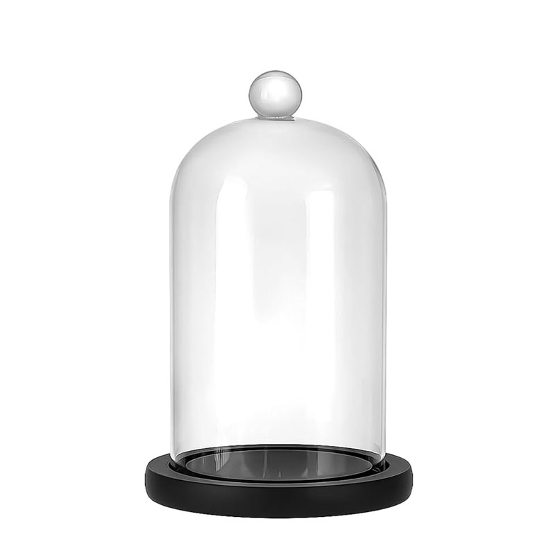 hand blown bell glass cover for terrarium