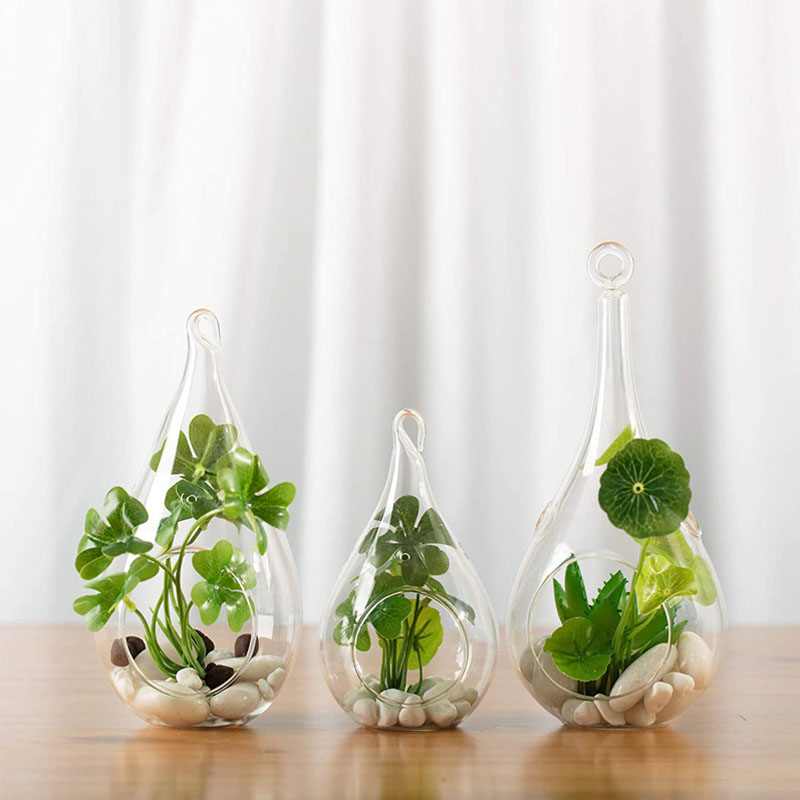 teardrop hanging glass terrarium