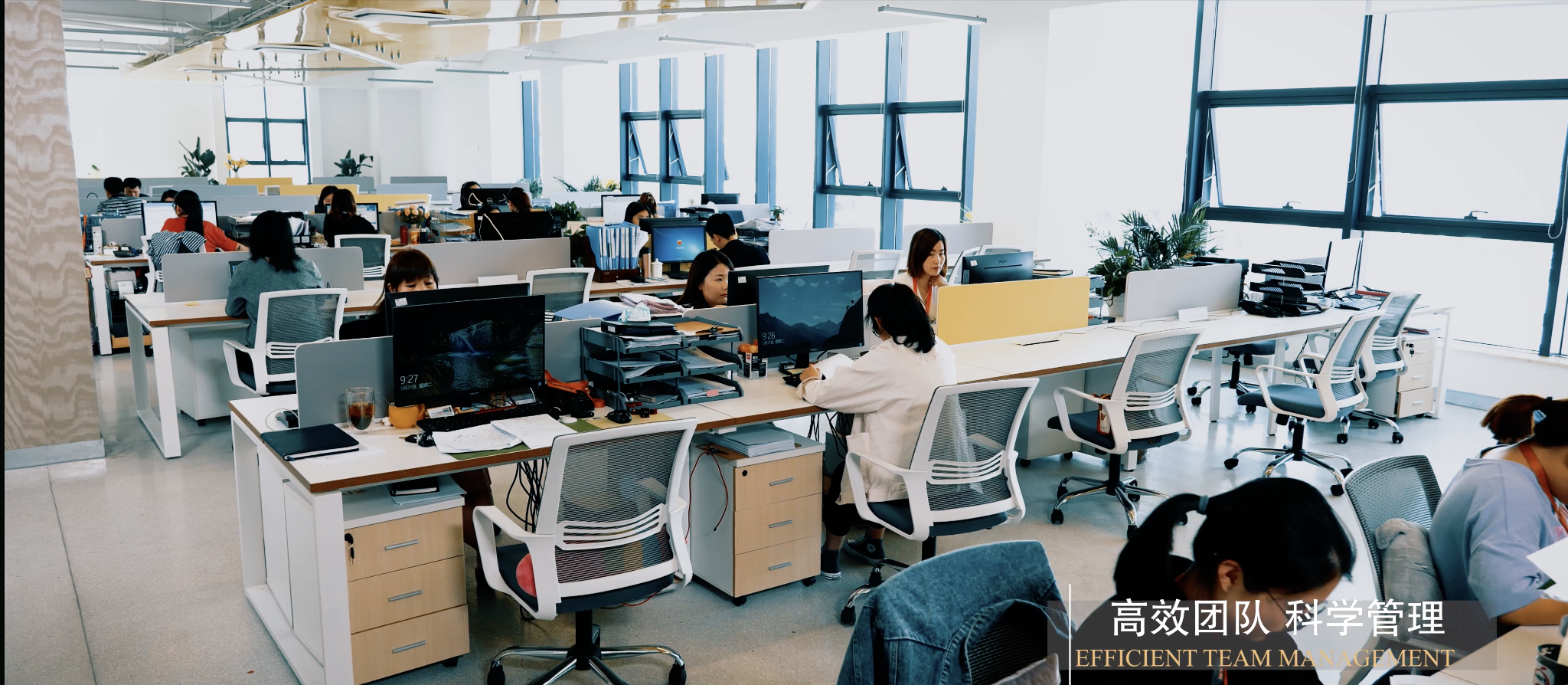 Open Office Area