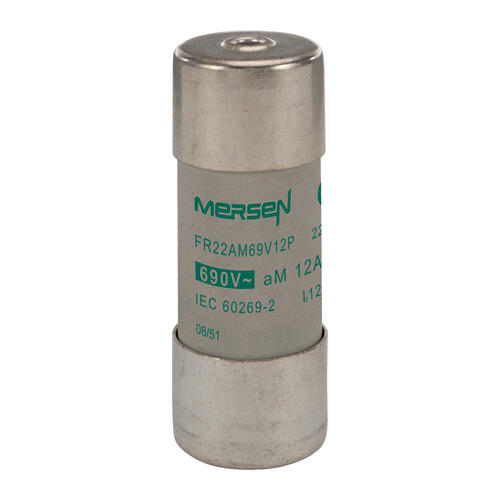 FR22AM69V12P