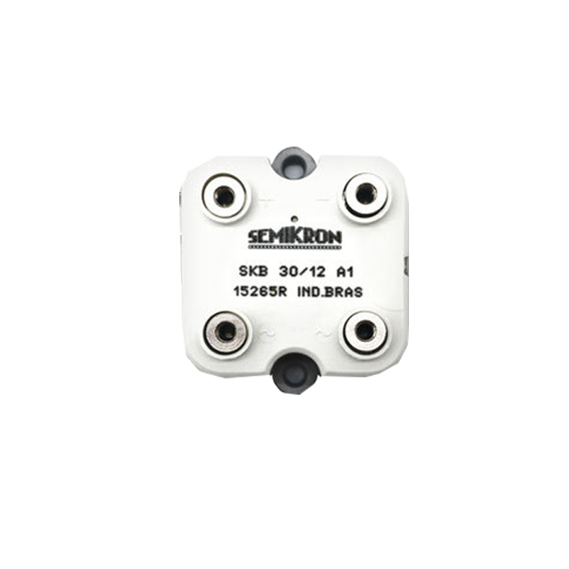 Bridge Rectifier Module