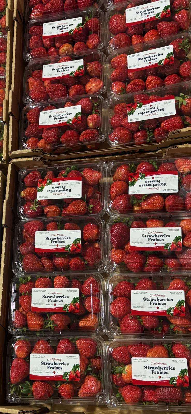 DP-1LBSS-strawberry