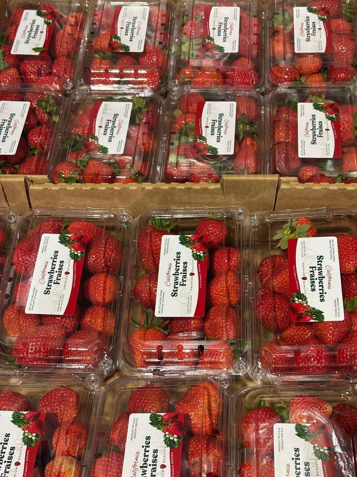 DP-1LBSS-strawberry