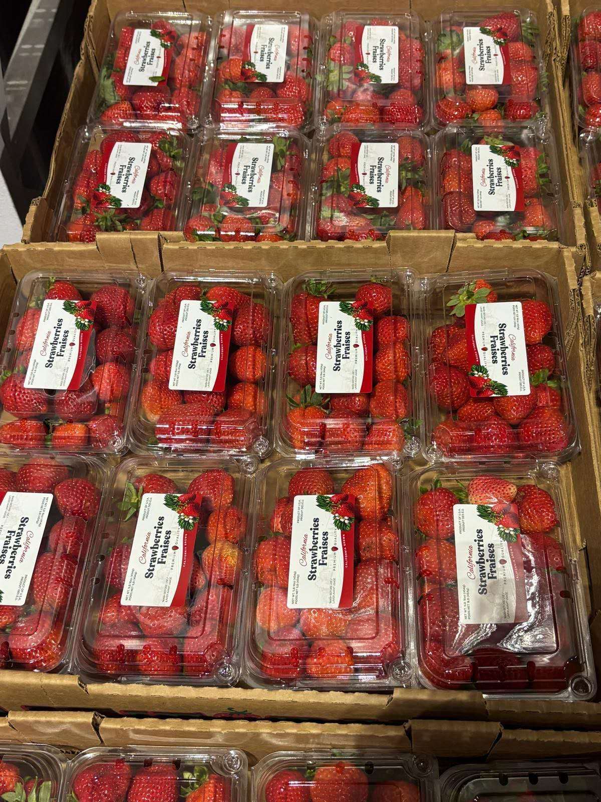 DP-1LBSS-strawberry