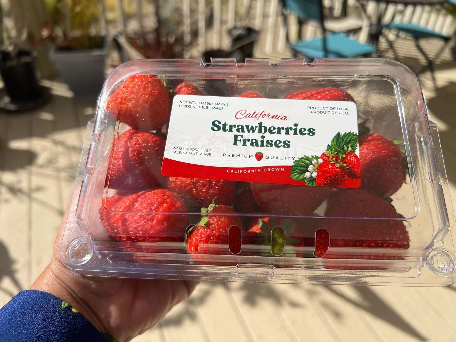 DP-1LBSS-strawberry