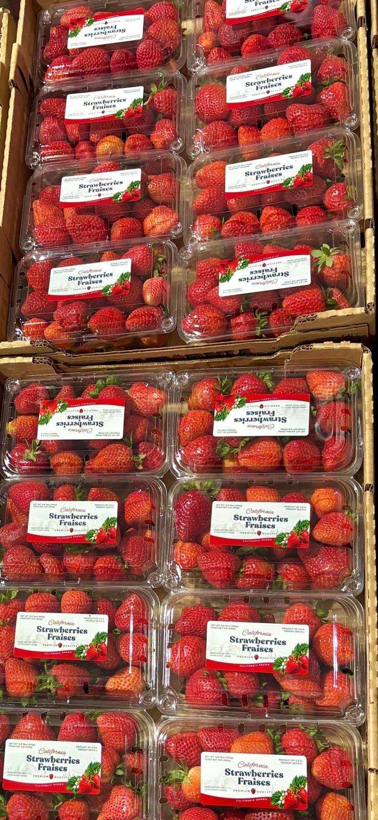 DP-1LBSS-strawberry