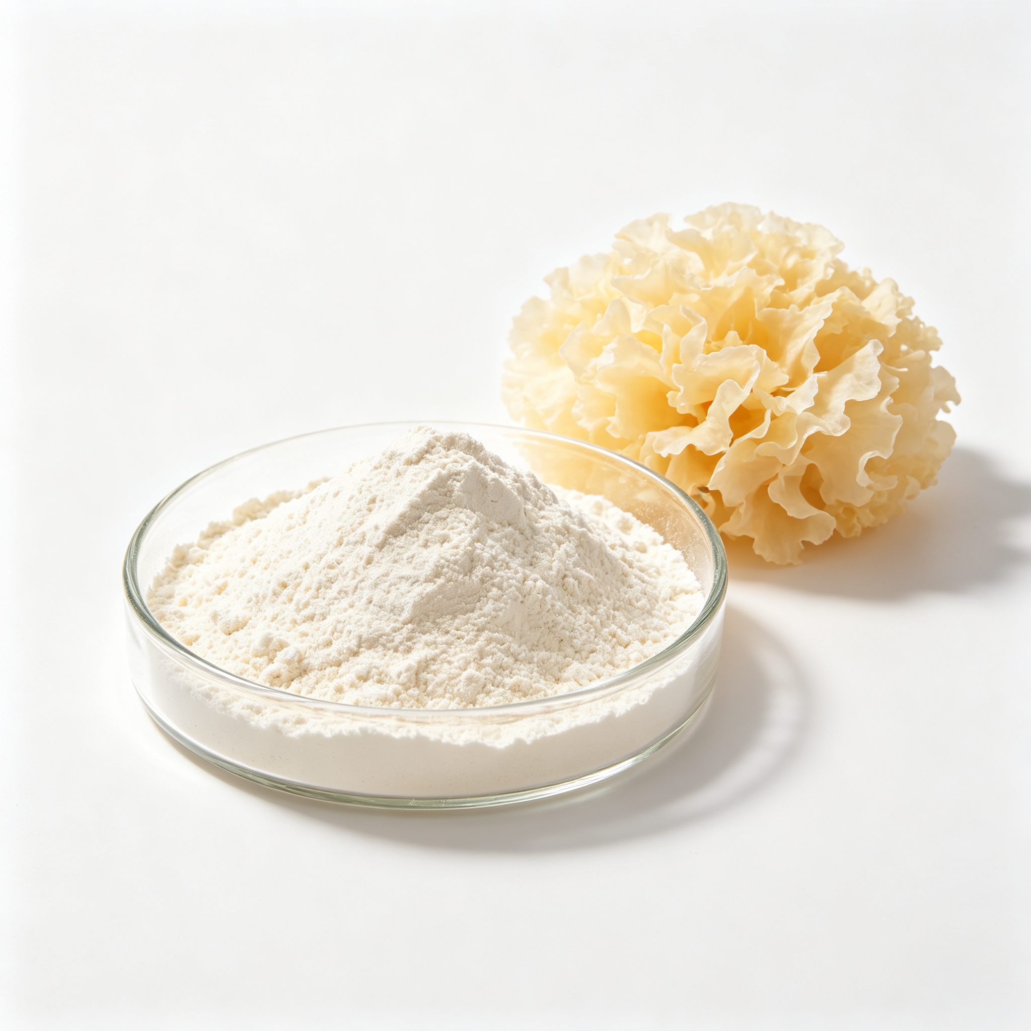 Silica Pharmaceutical Excipient