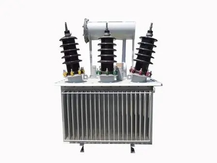 Oil-Immersed Transformer