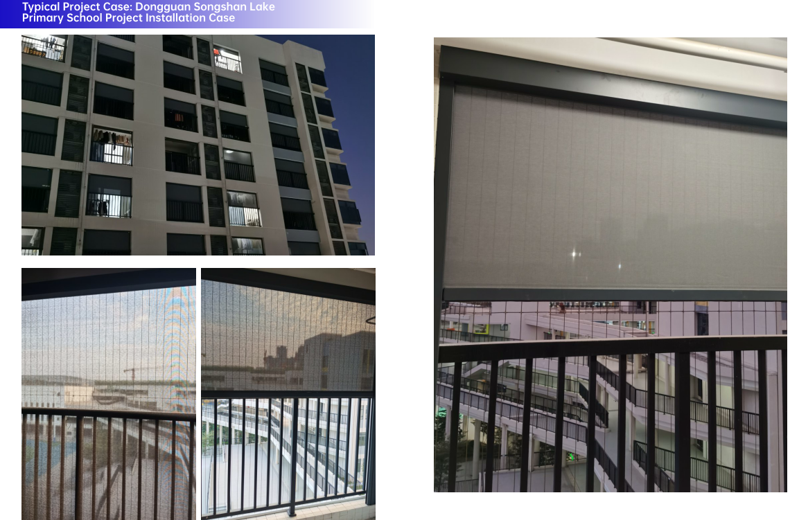 Public/School (Dongguan Songshan Lake Primary School Project) ODM