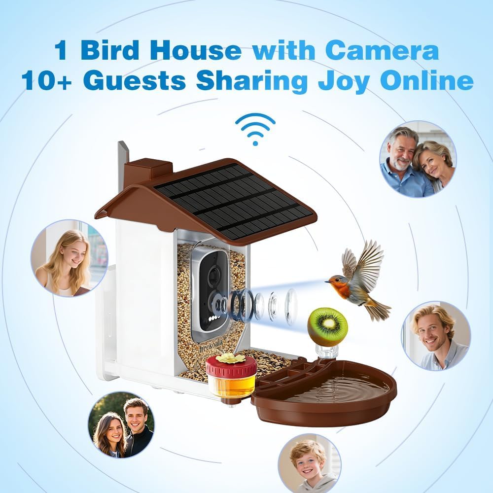 Video bird feeder camera live stream from an outdoor feeding station