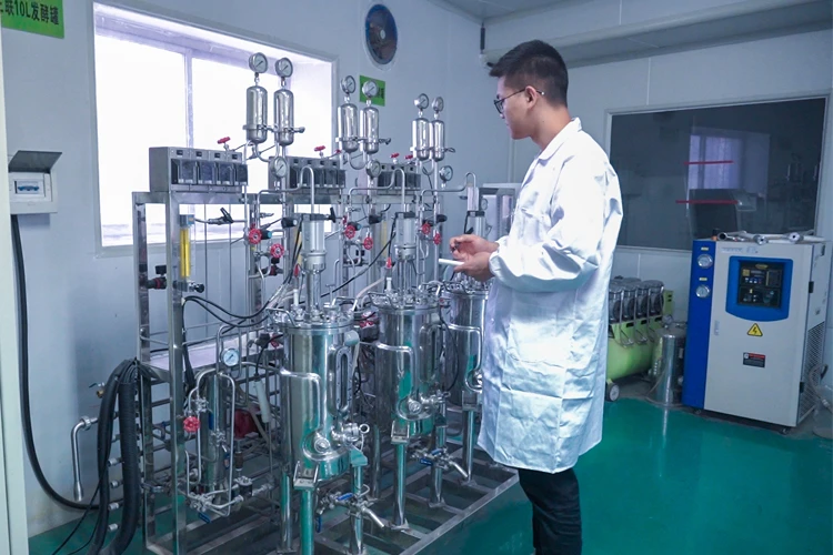 Enzyme reaction production line
