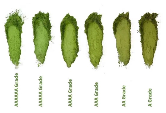 different matcha powder