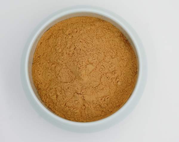 mushroom extract powder
