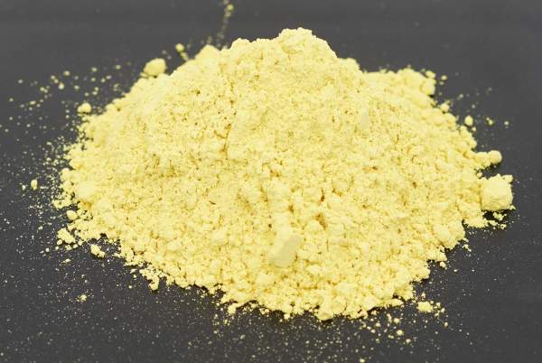 natural fisetin Powder