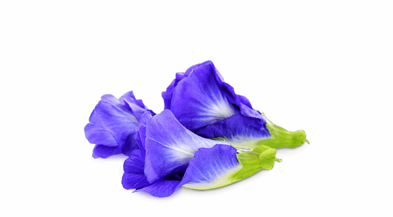 Butterfly Pea Flower Extract