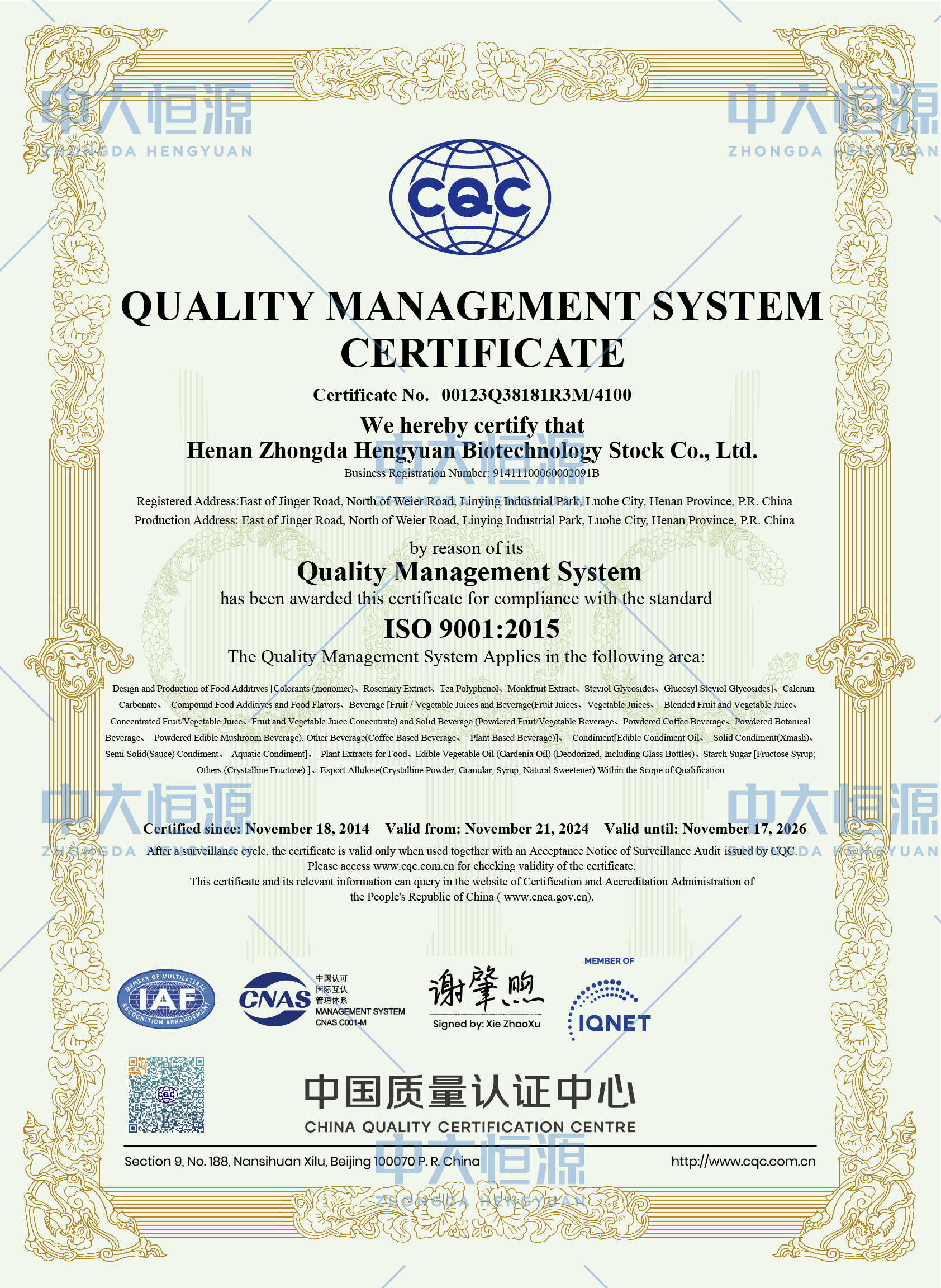 ISO 9001