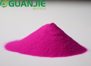 Spray dried dragon fruit powder sample in a food ingredient application