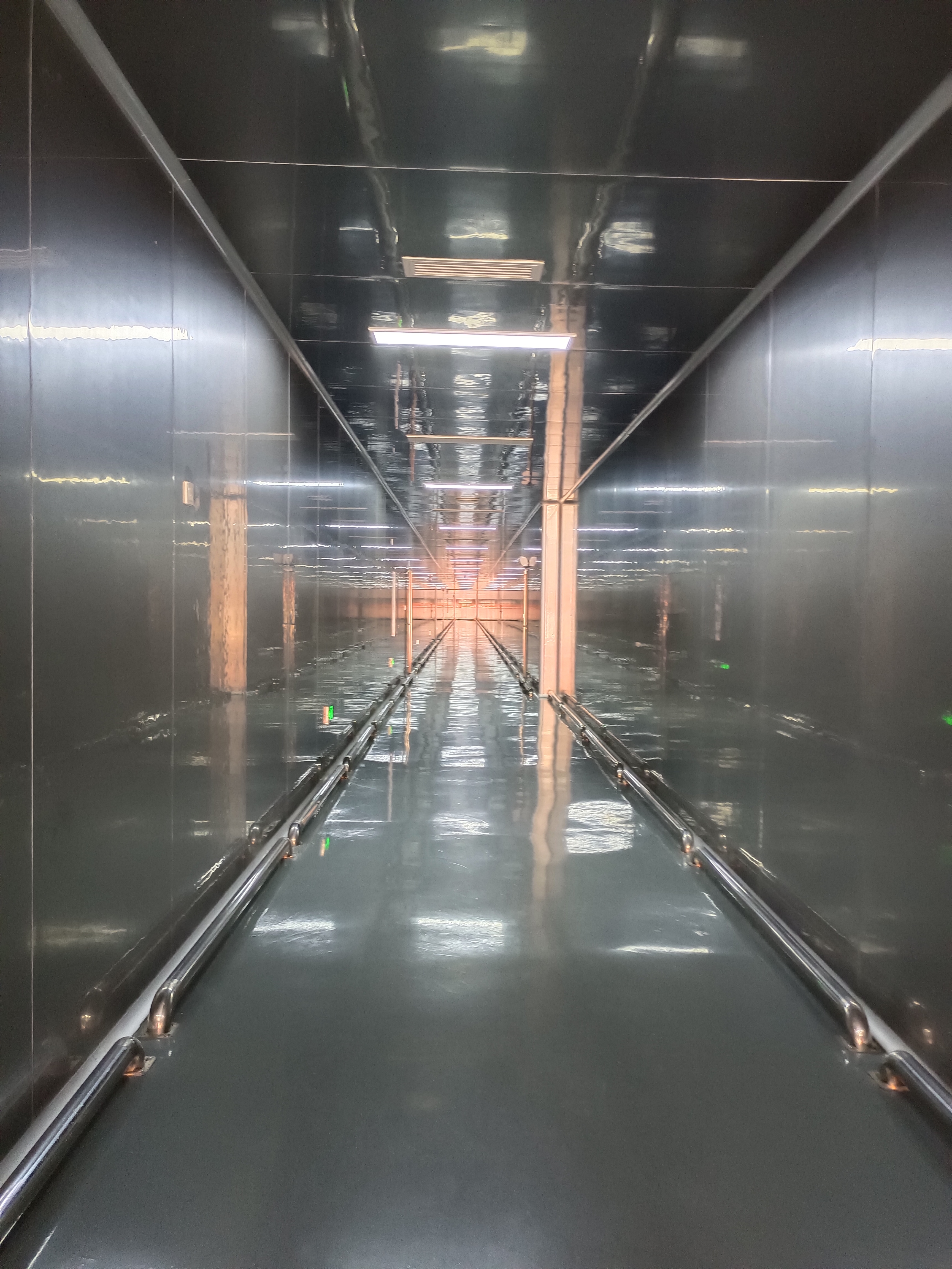 Fruit powder production workshop with stainless steel processing equipment