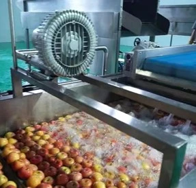 freeze-dried fruit powder Raw Material Clean