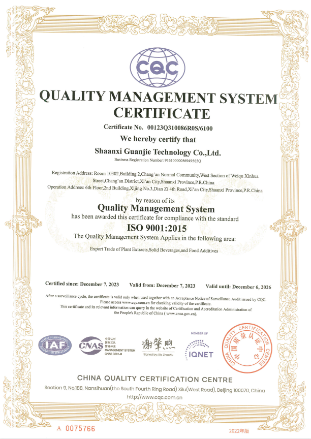 ISO 90001