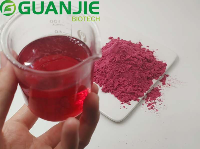 spray-dried Blueberry Powder
