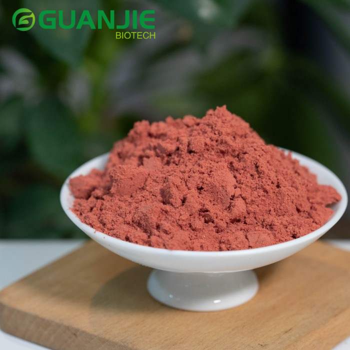 Freeze-dried strawberry powder produced for bulk B2B supply