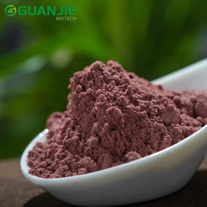 Blackcurrant Powder