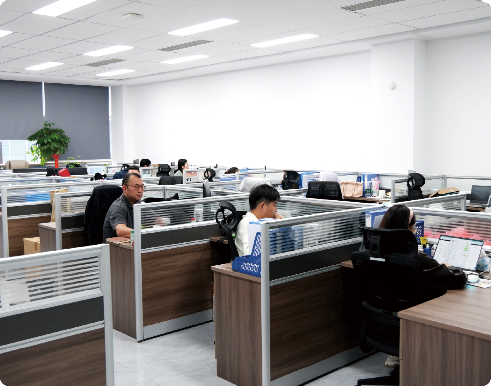 Office Environment