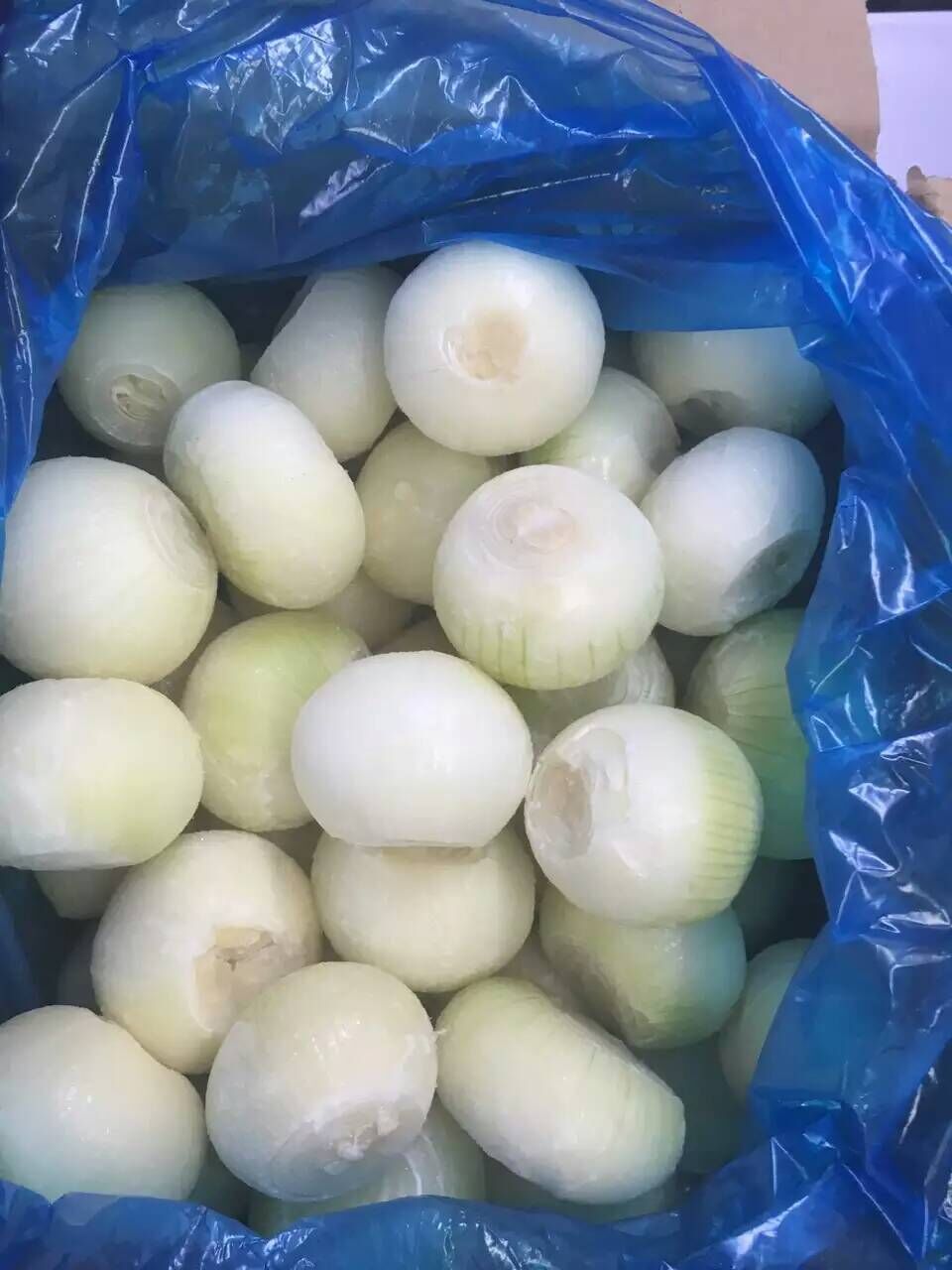 Frozen Whole Peeled Onion