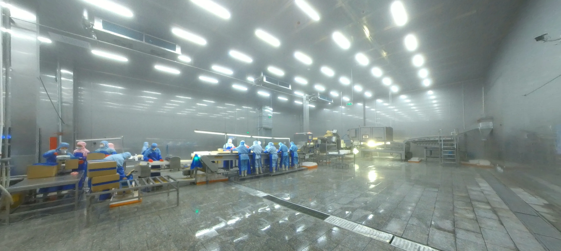 Full Production Line in IQF Frozen Fruits