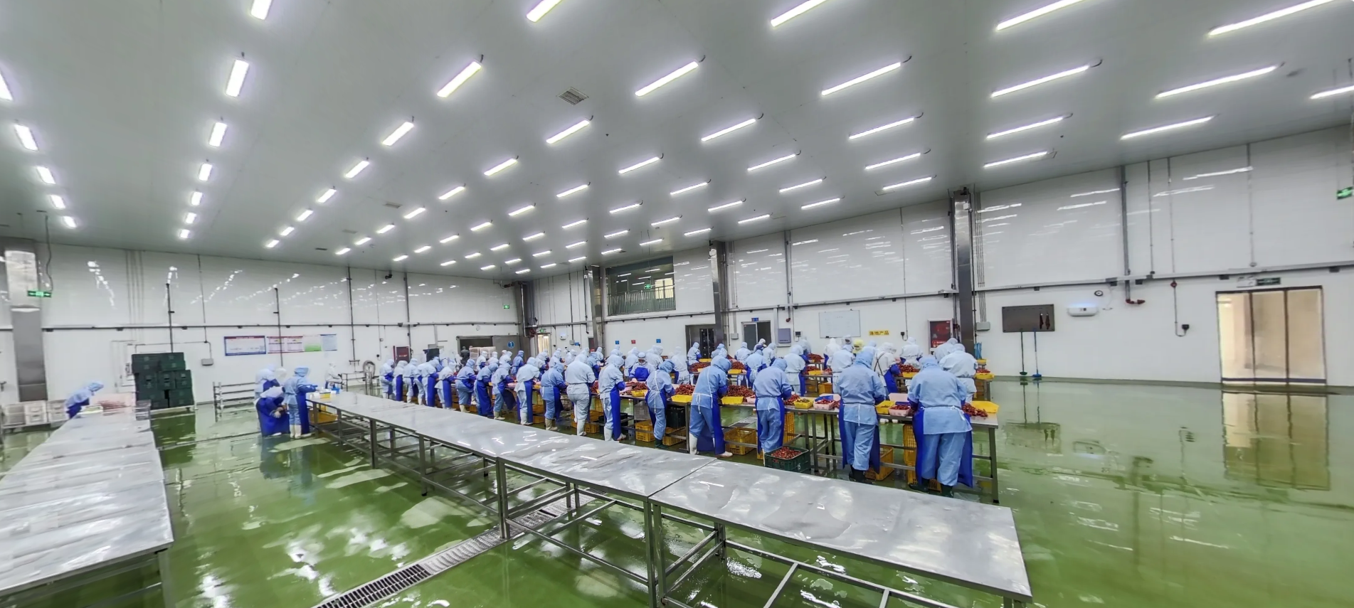Manual Sorting Station