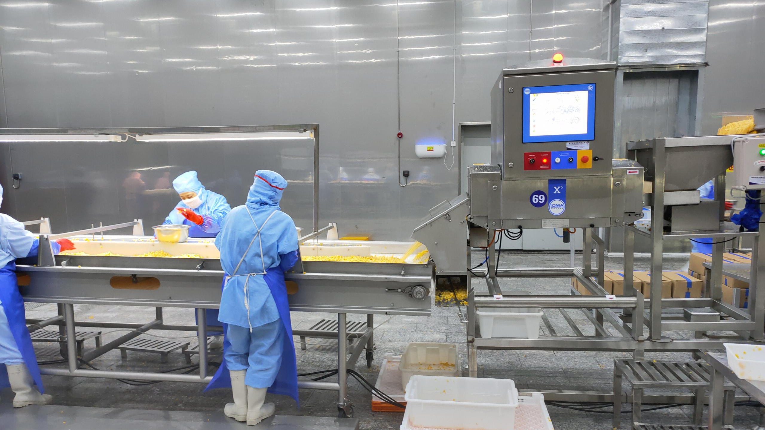 Hand sorting conveyor belt used for defect removal during IQF frozen vegetable processing
