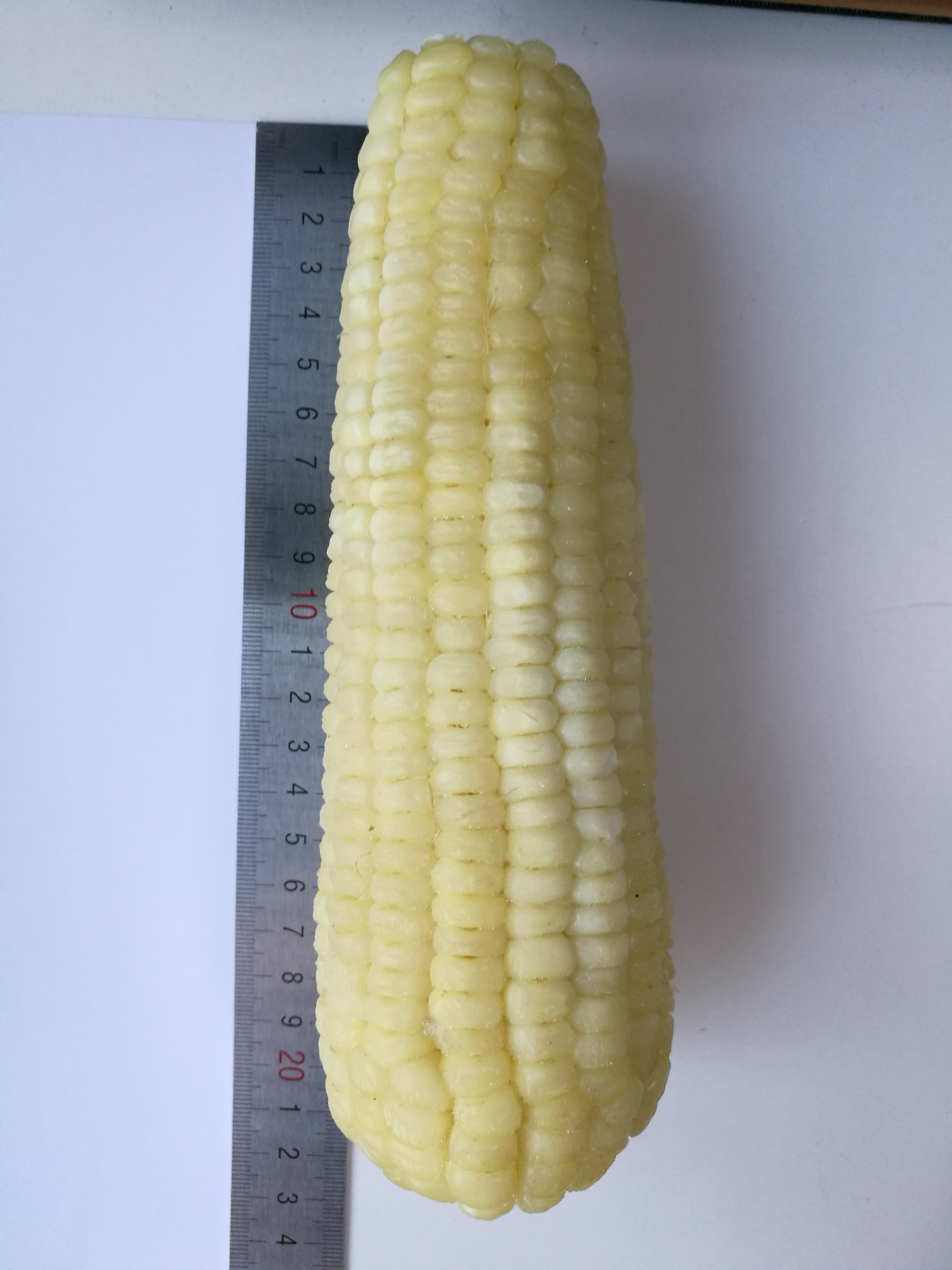 corn