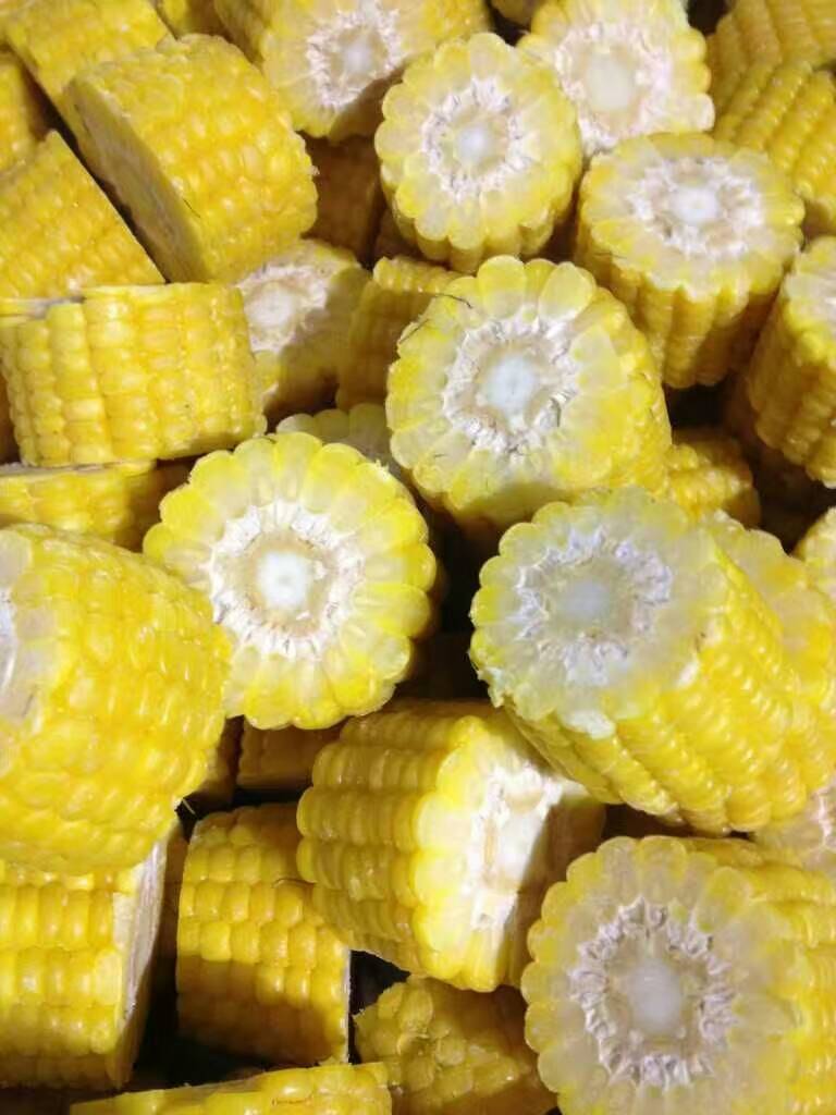Frozen Cut Corn on the Cob