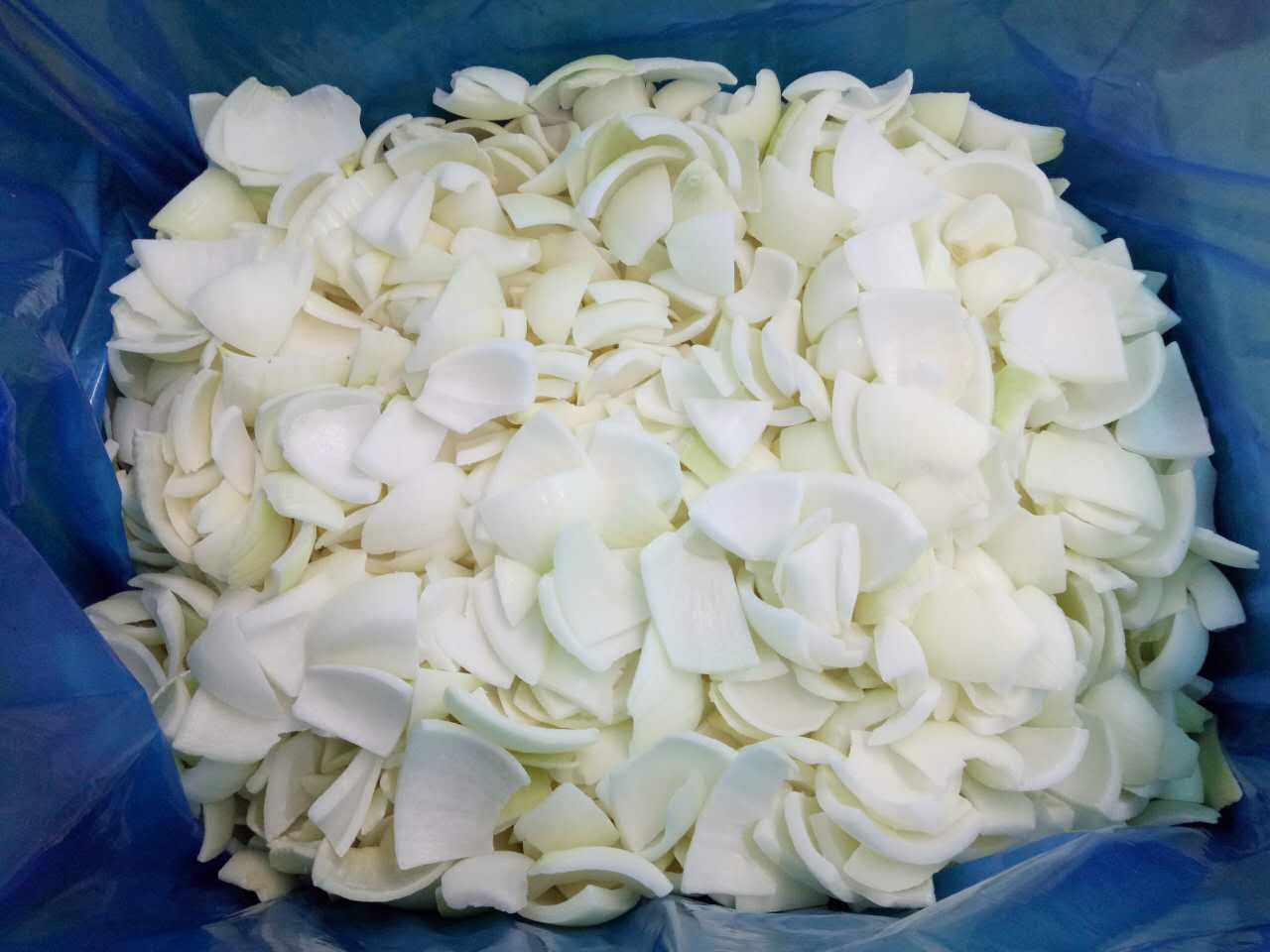 Frozen Sliced Onion