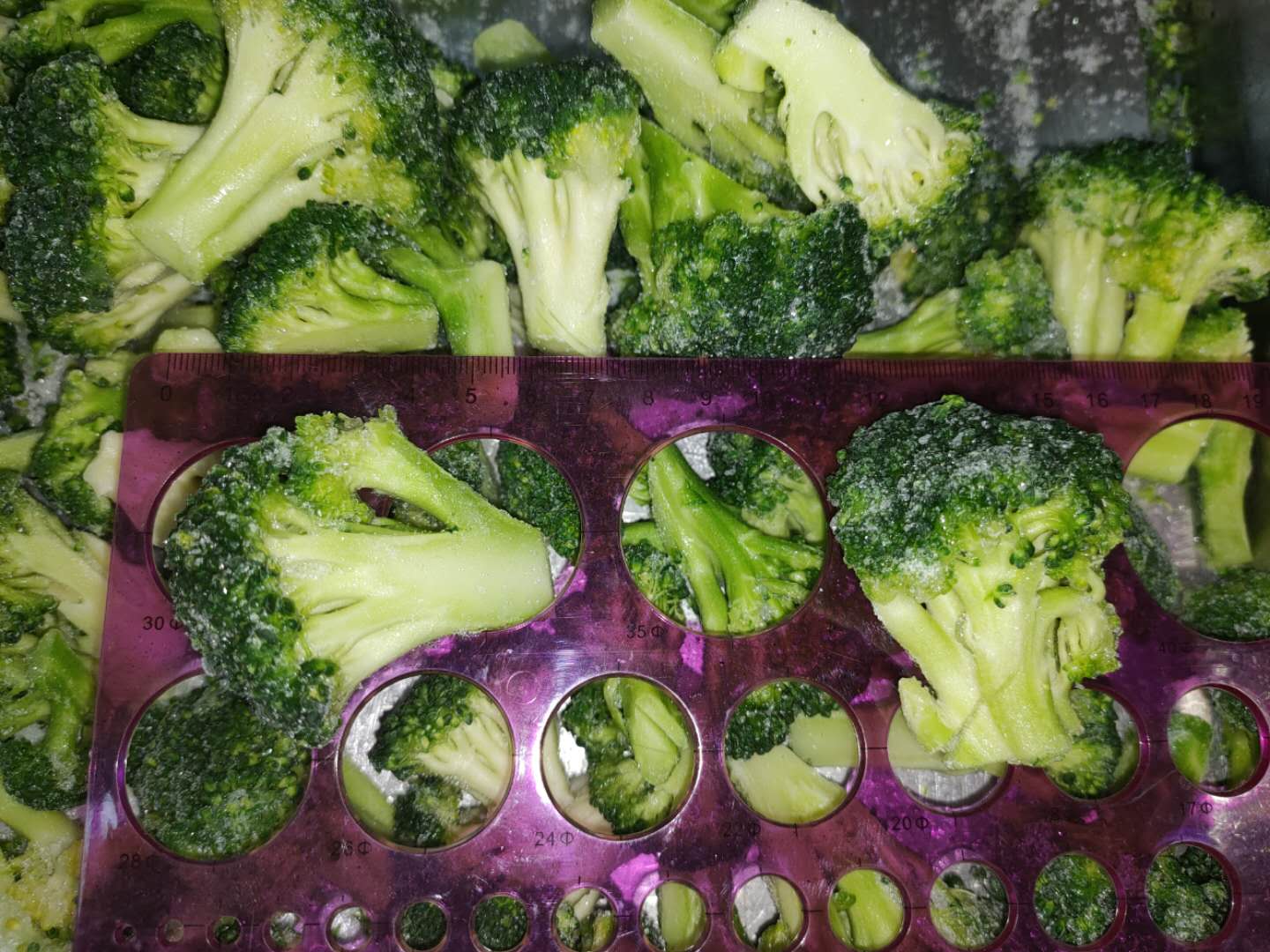 Comparison of frozen broccoli floret sizes against specification bands