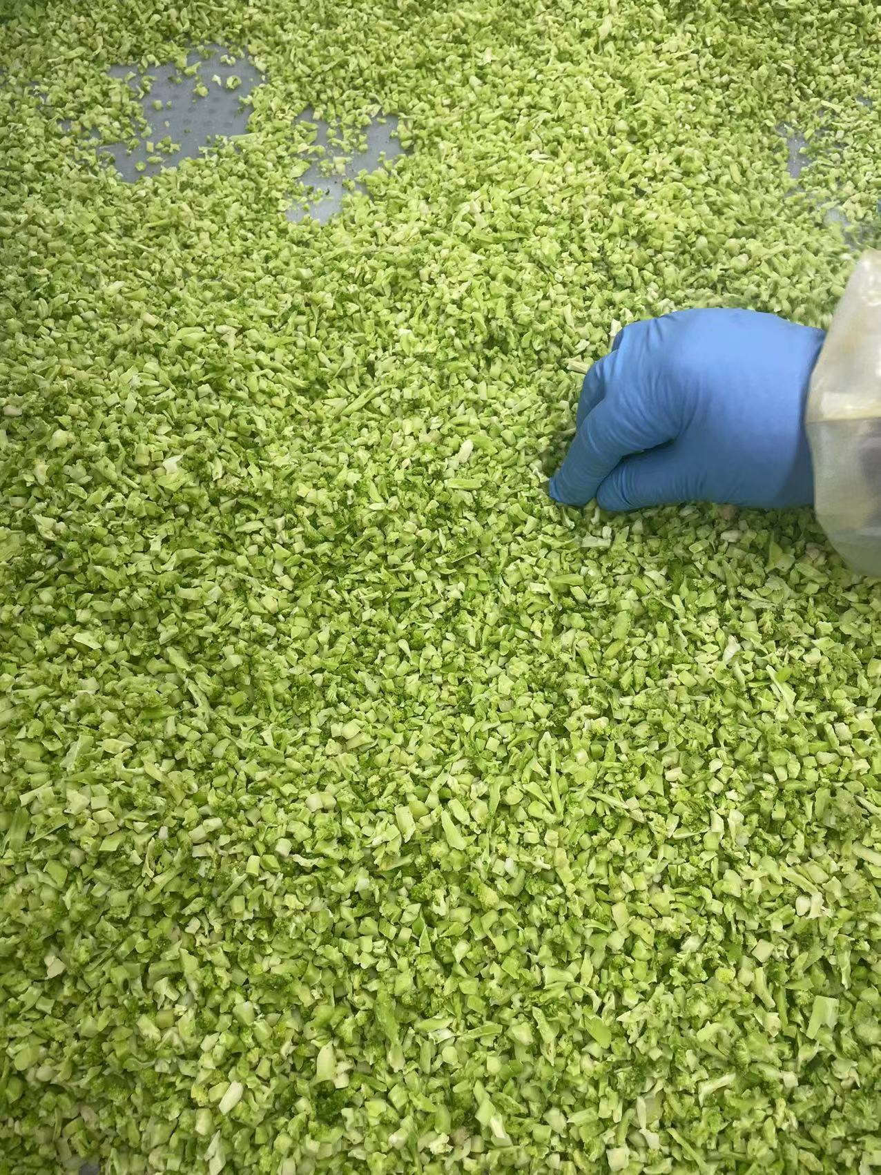 Frozen Broccoli Rice