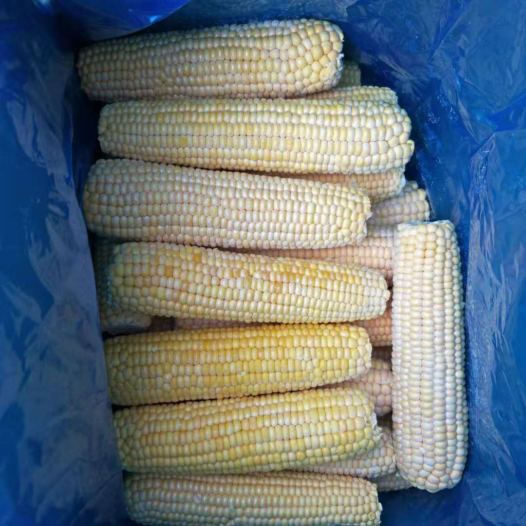 Frozen white corn