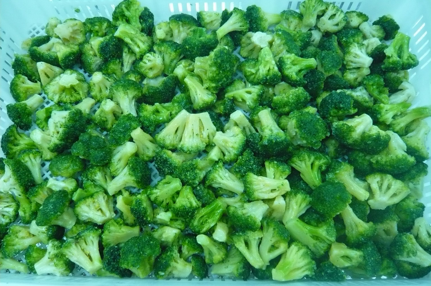 broccoli2-4cm