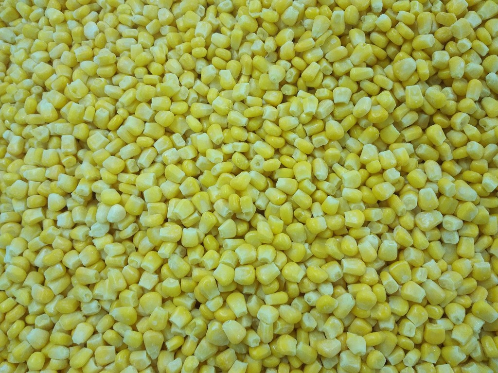 sweet corn kernel