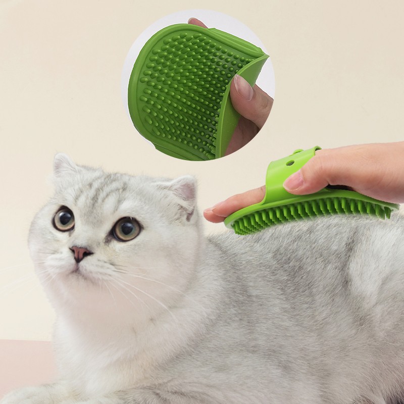 cat shampoo brush