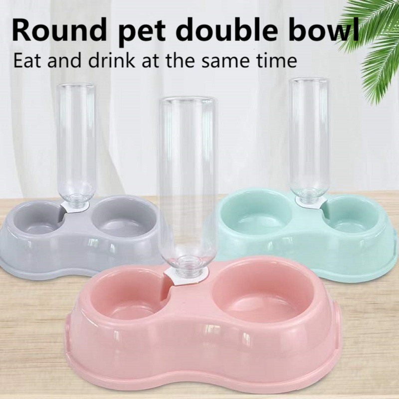 cat bowl set