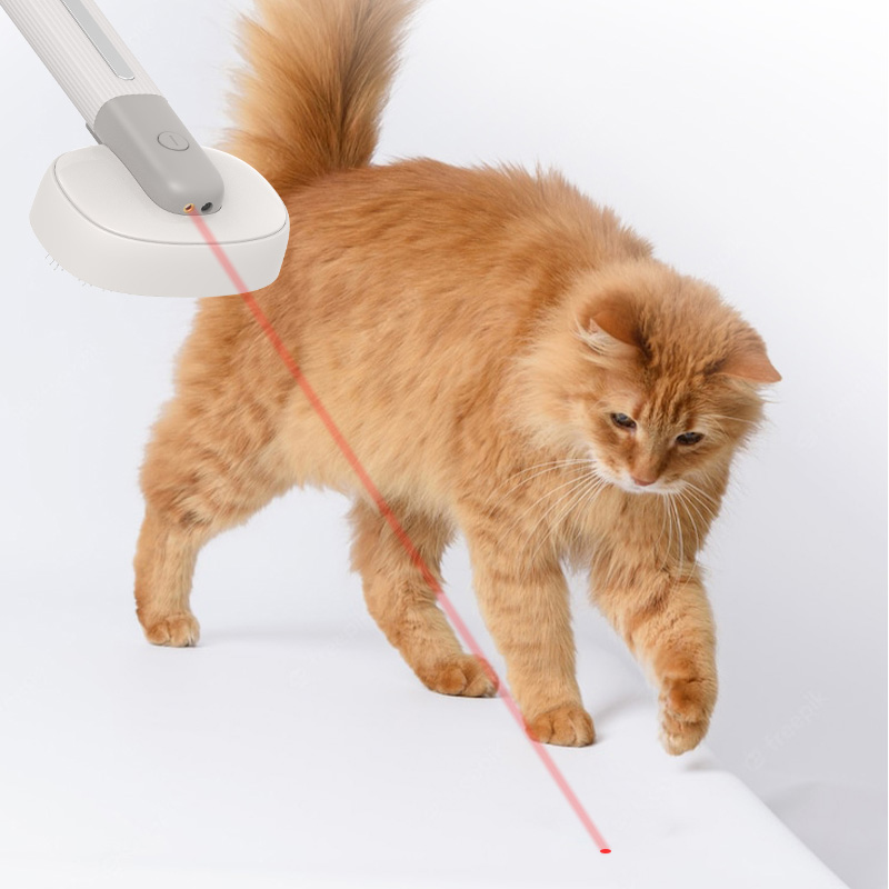 Pet Grooming Brush with Red Light Laser Pointer Toy 
